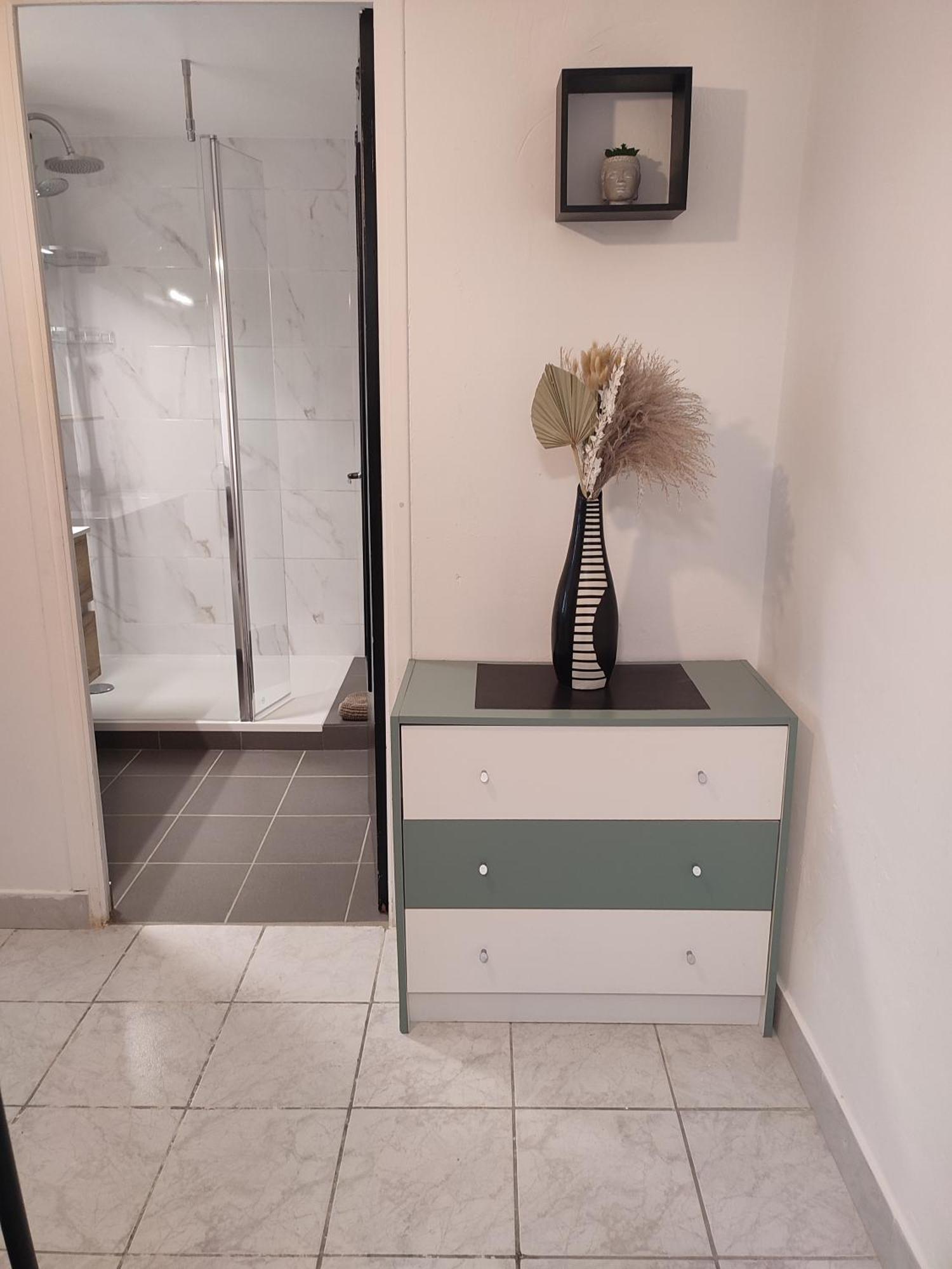 Sur Les Pas De Pierre Paul Riquet Apartment Montferrand  Bagian luar foto